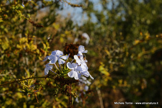 zzena-13-09-2014 08-34-25